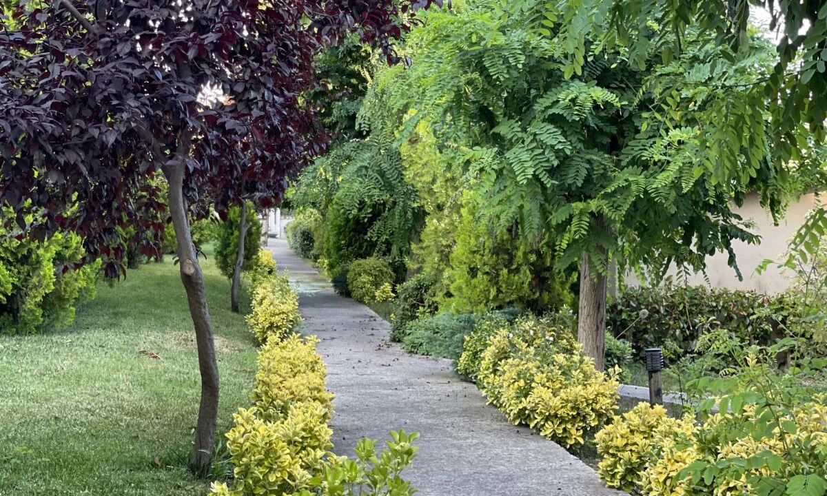 Photo of Outdoor in Suleymanpasa