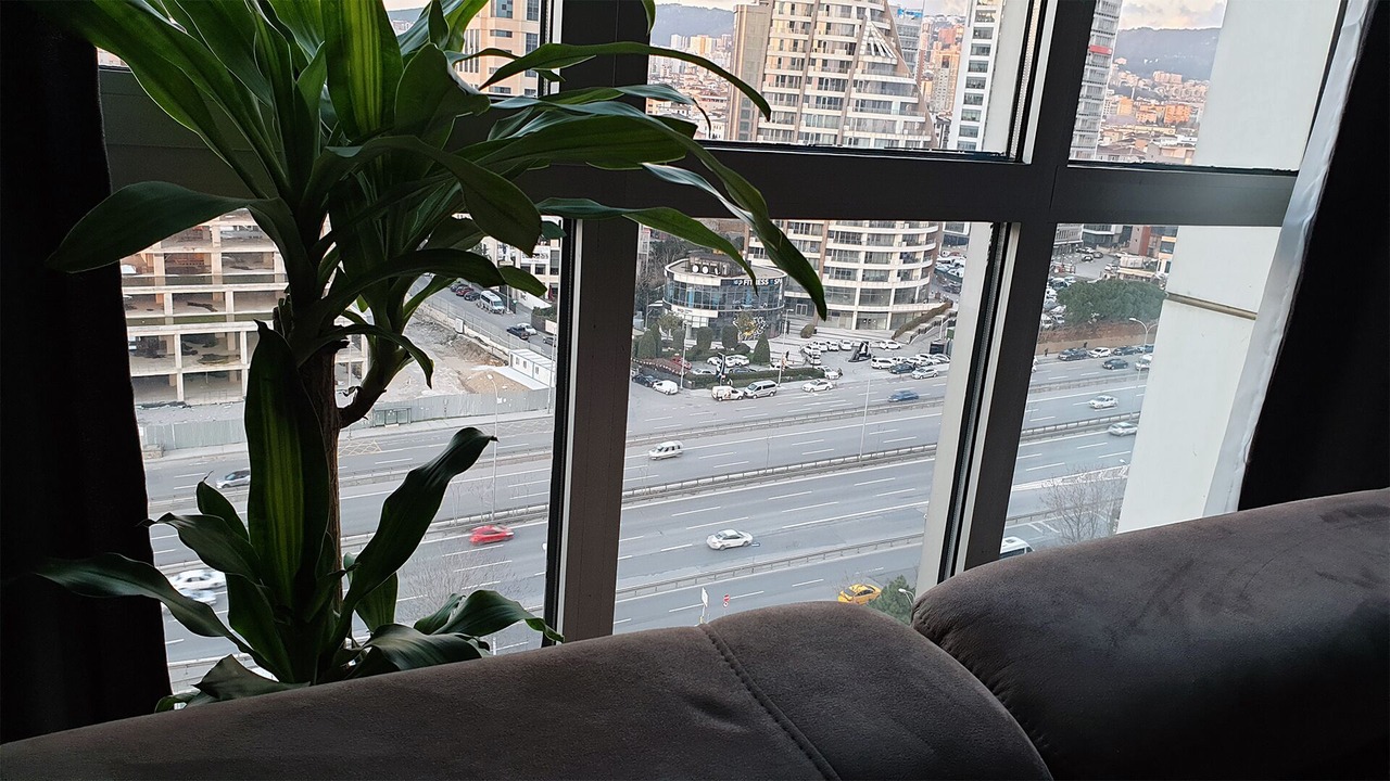 Photo of Others in Kartal