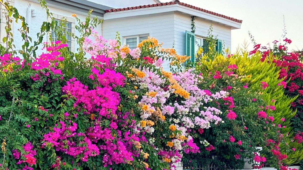 Photo of Outdoor in Ilica
