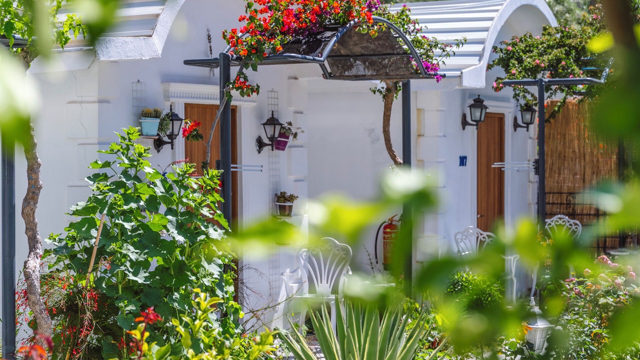 Photo of Outdoor in Oludeniz City Center