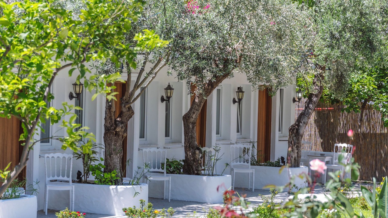 Photo of Outdoor in Oludeniz City Center