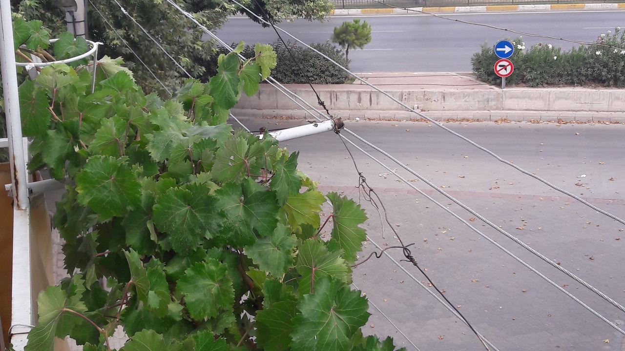 Photo of Others in Denizli