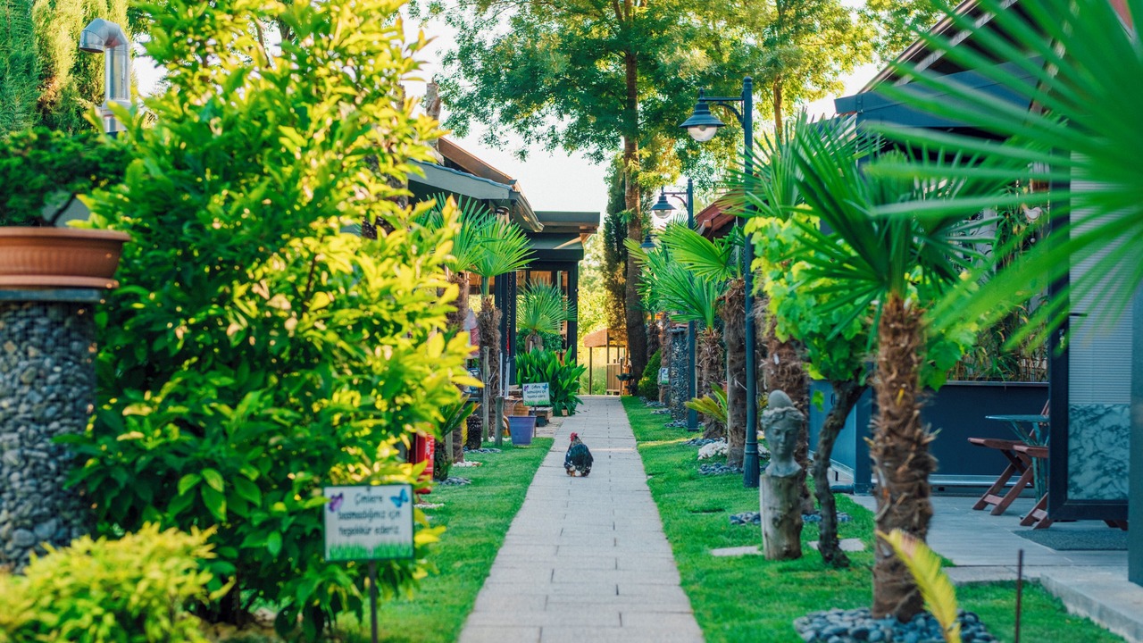 Photo of Outdoor in Sile