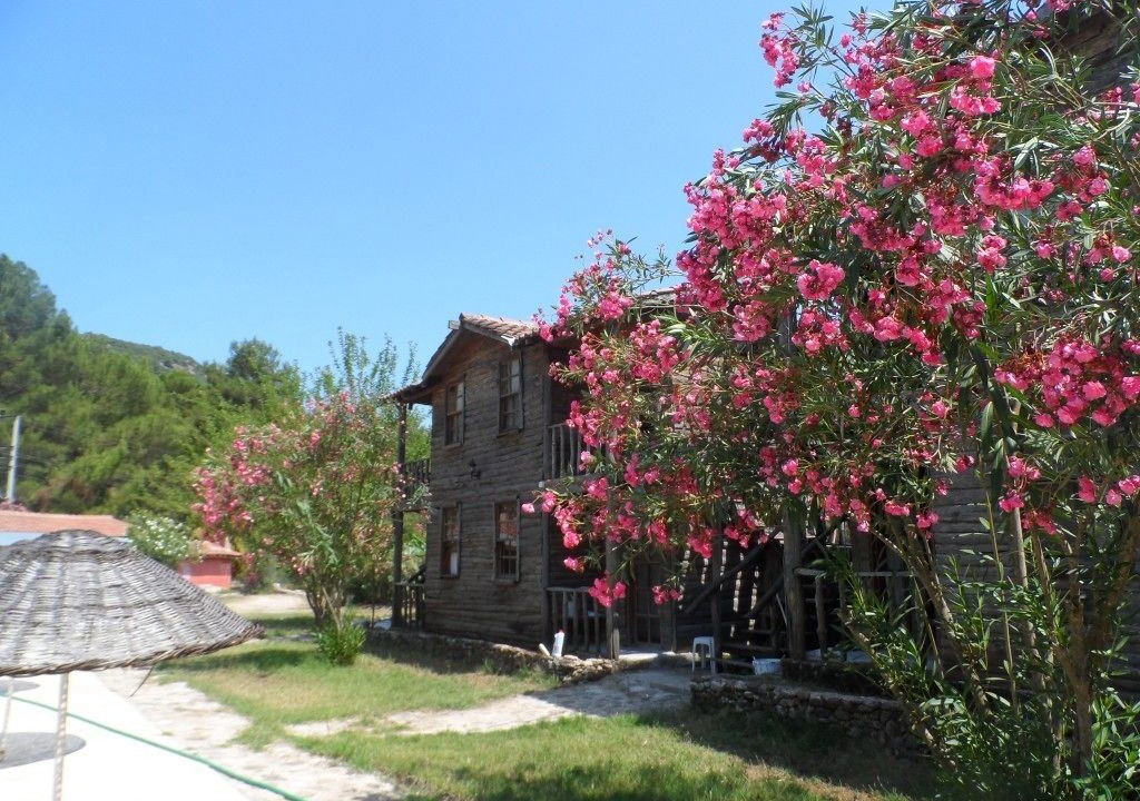 Photo of Outdoor in Olympos