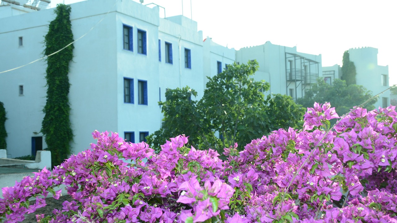 Photo of Outdoor in Bodrum City Center