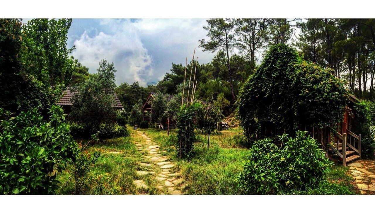 Photo of Outdoor in Olympos