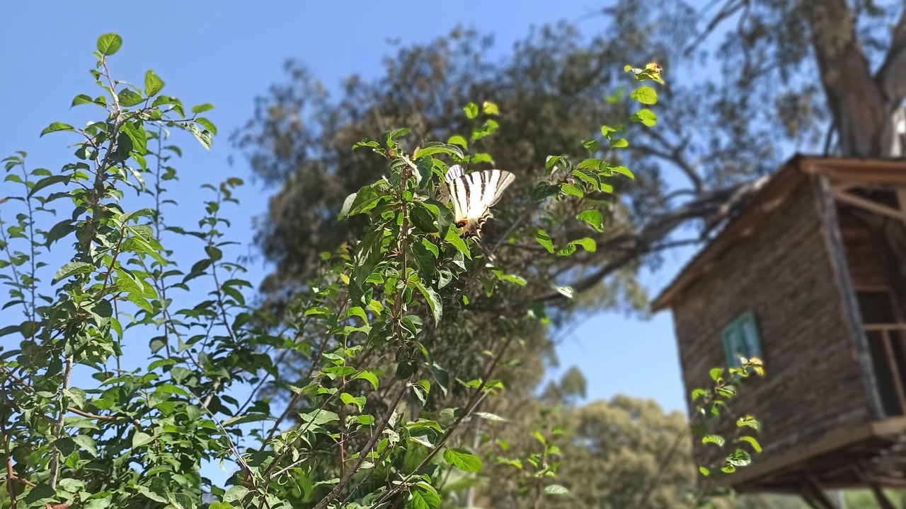 Photo of Outdoor in Fethiye