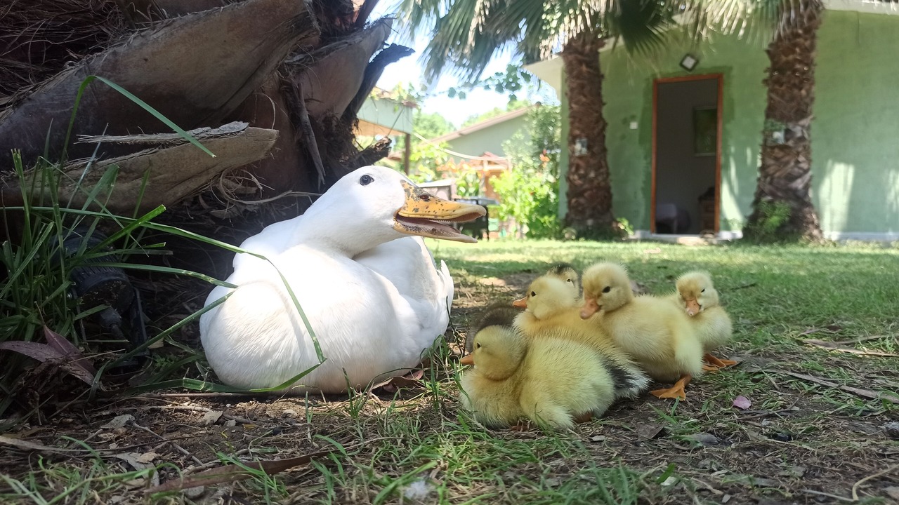 Photo of Others in Fethiye