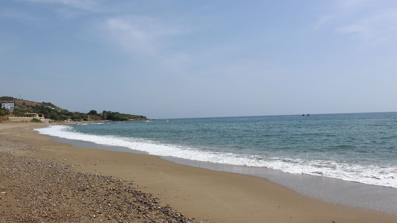 Photo of Others in Seki