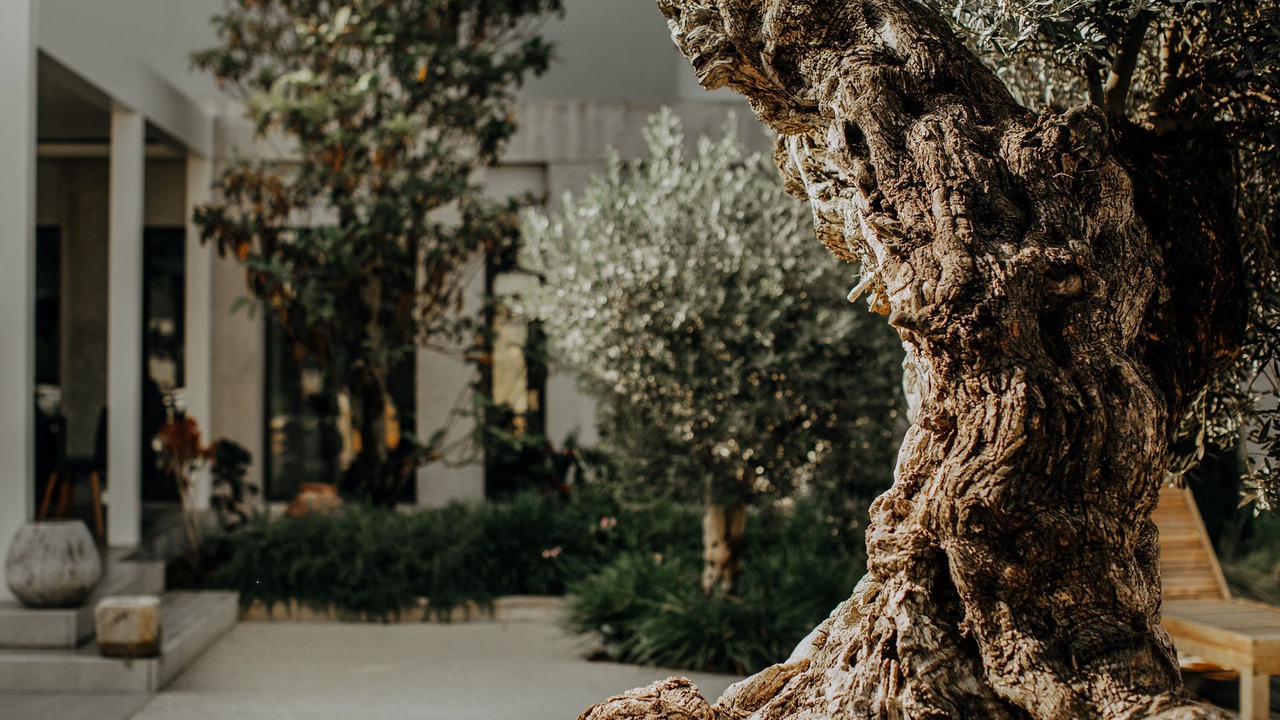 Photo of Outdoor in Alacati