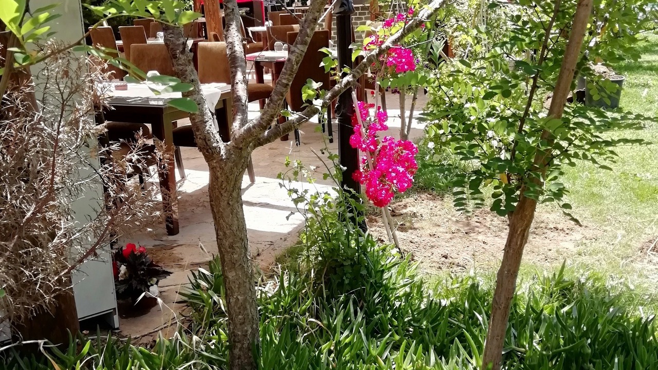Photo of Outdoor in Milas