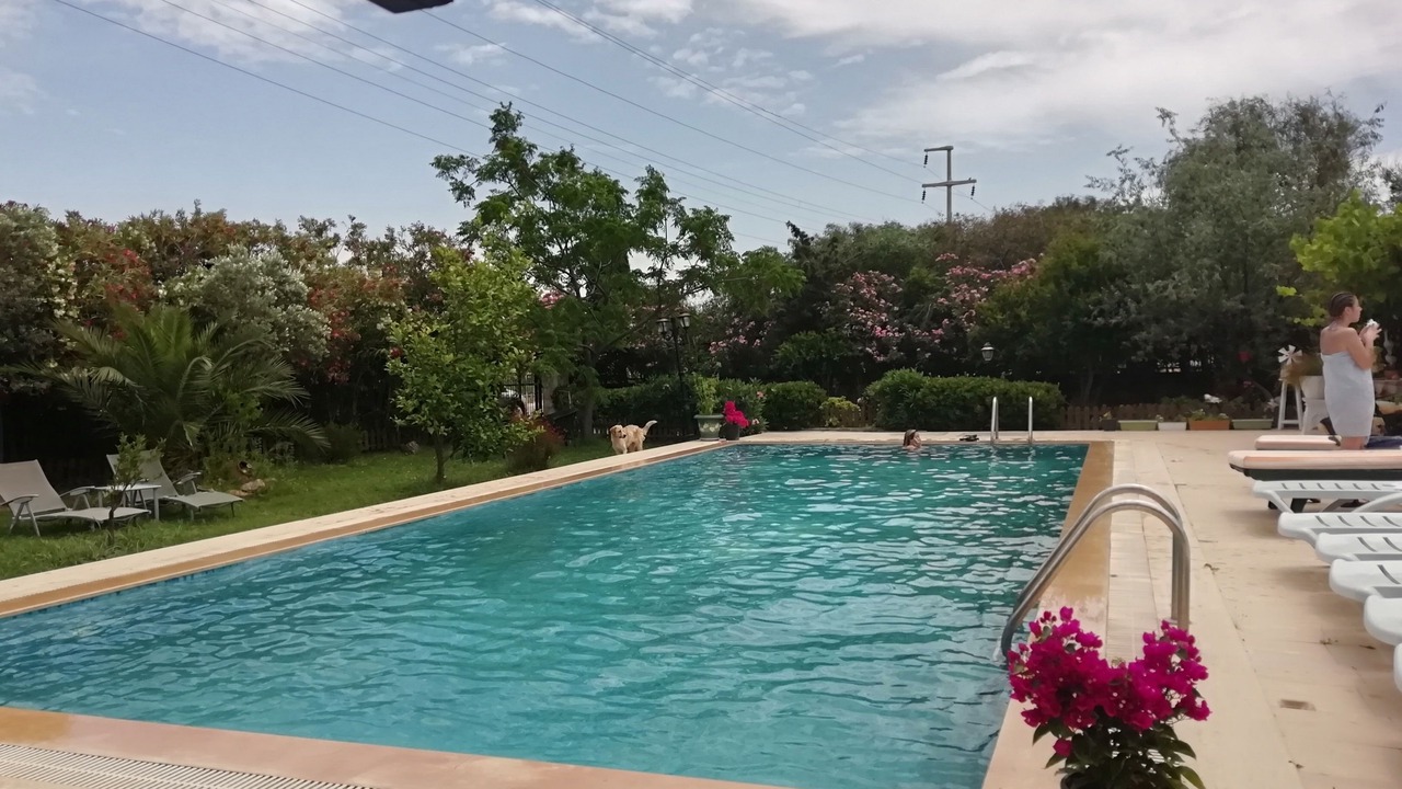 Photo of Outdoor in Milas