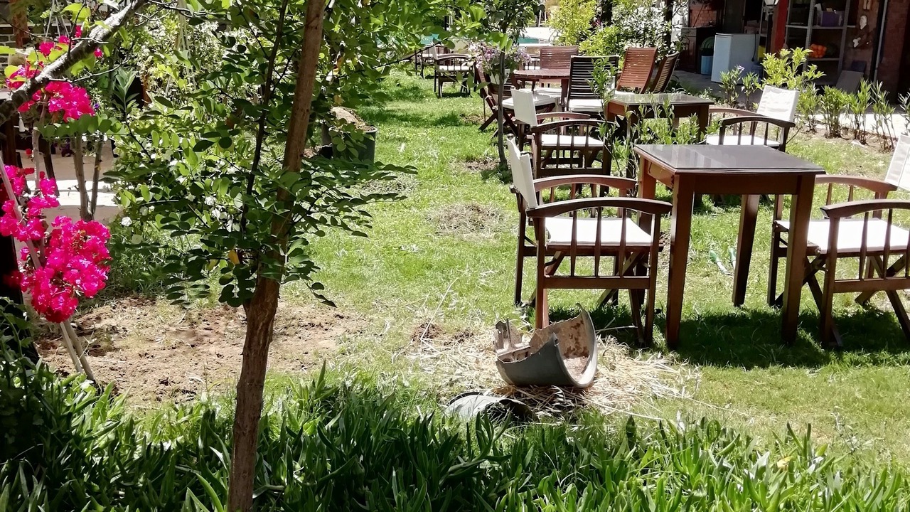 Photo of Outdoor in Milas