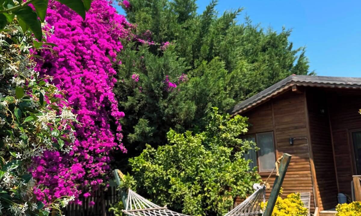Photo of Outdoor in Demre