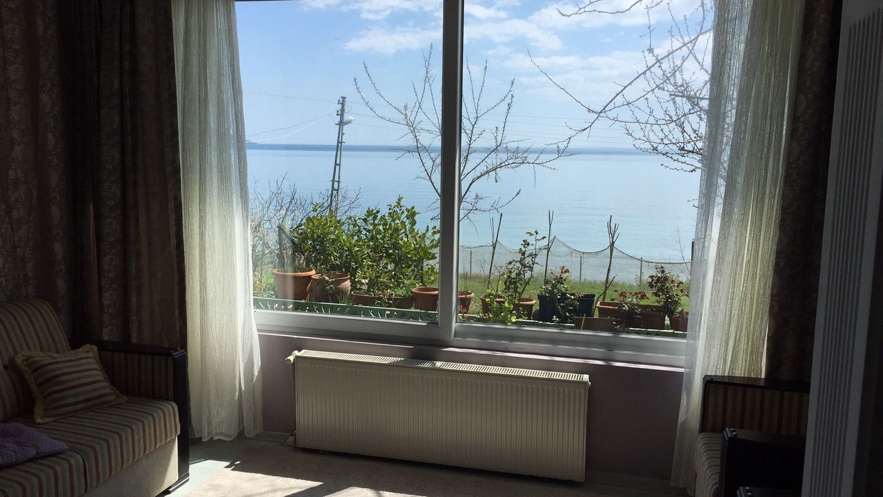Photo of Others in Sinop