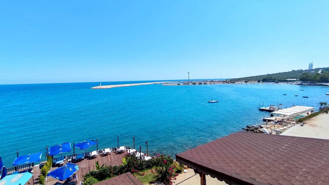 Photo of Others in Artikli