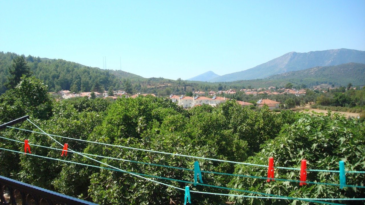Photo of Outdoor in Yesiluzumlu