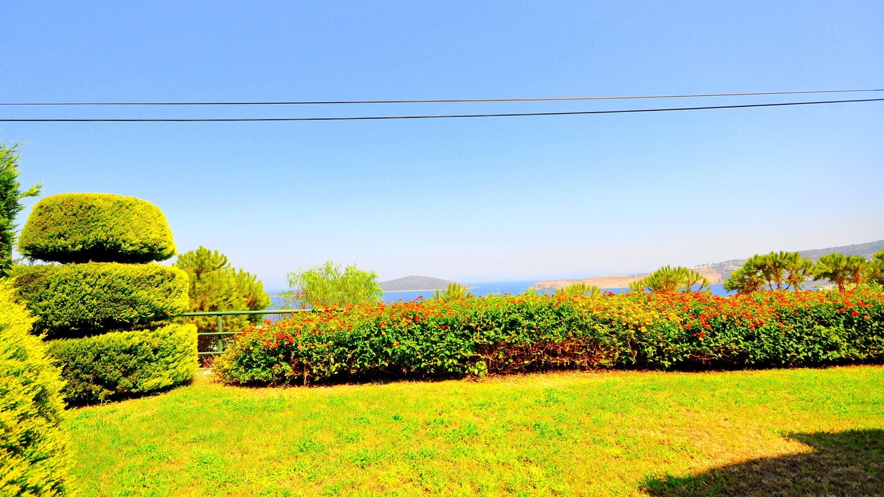 Photo of Outdoor in Gundogan