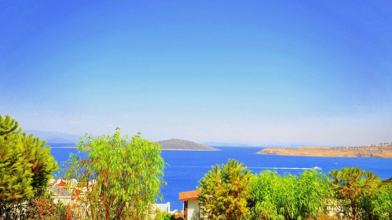 Photo of Others in Gundogan