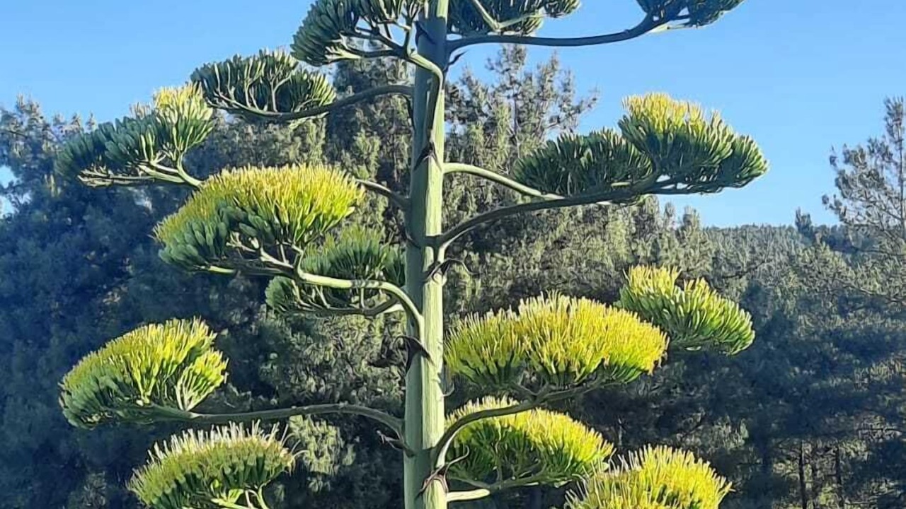 Photo of Outdoor in Urla