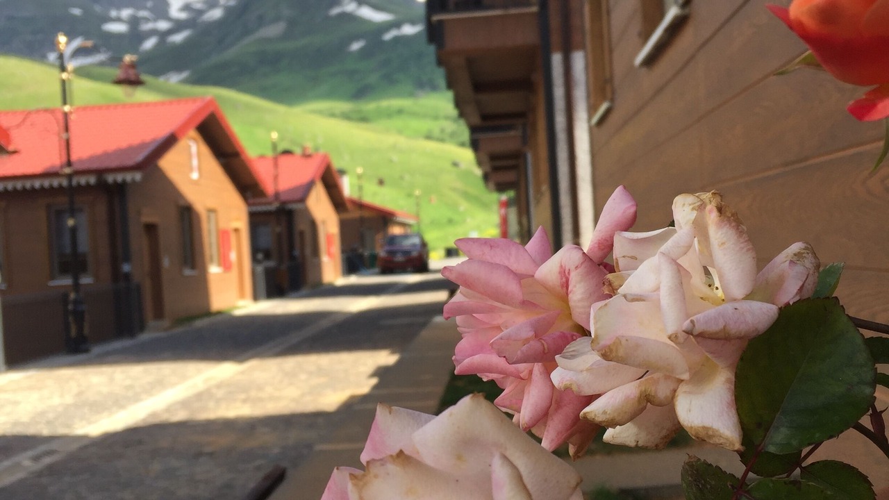 Photo of Outdoor in Caykara