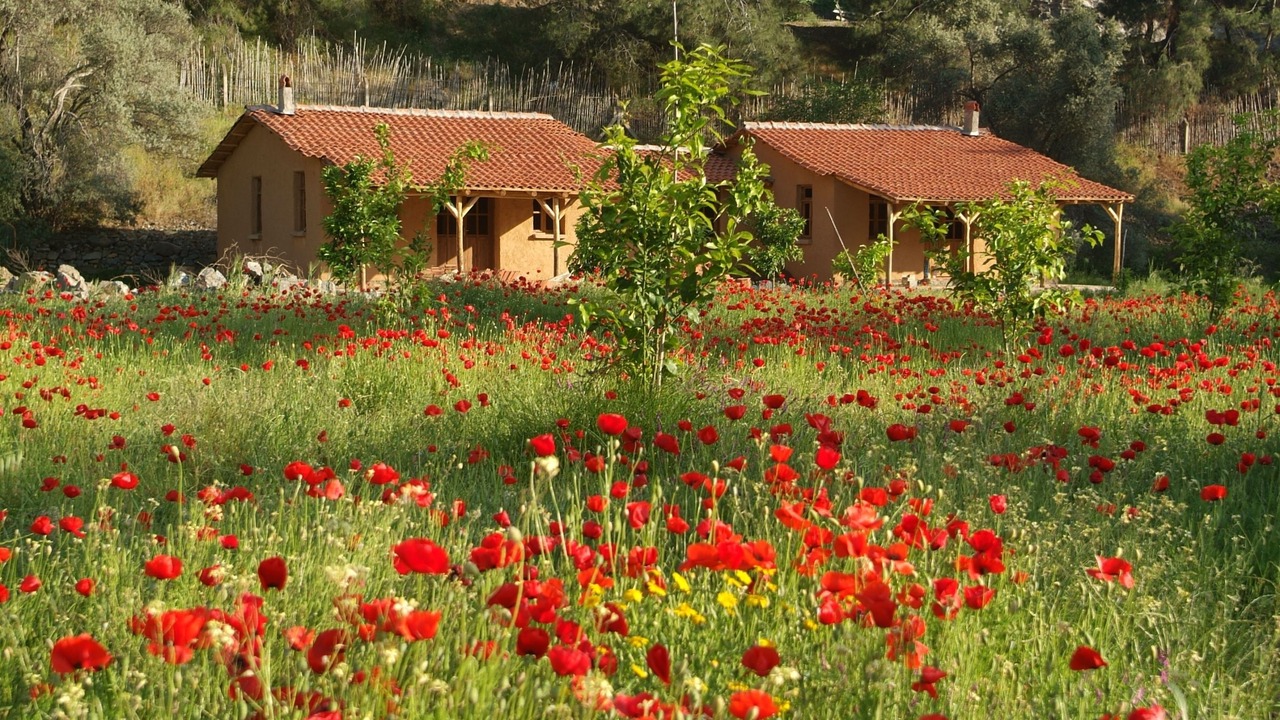 Photo of Others in Yaniklar