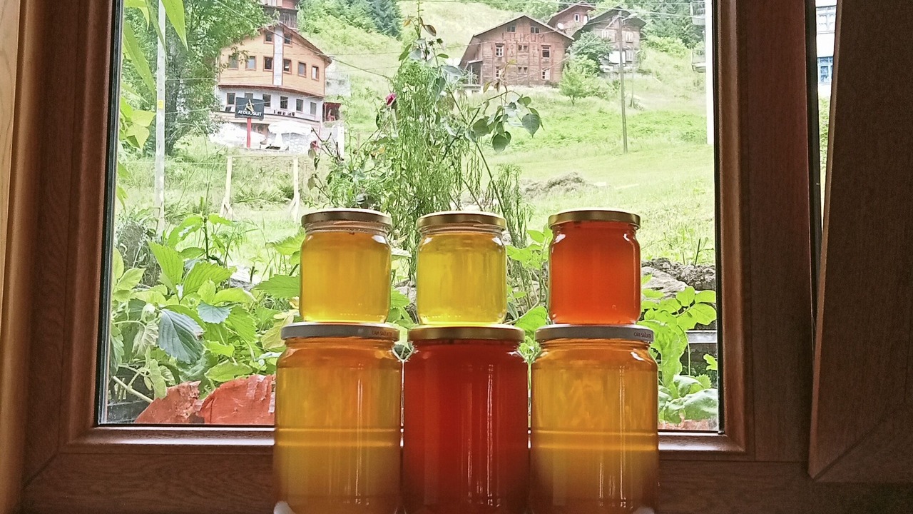 Photo of Outdoor in Ayder Yaylasi