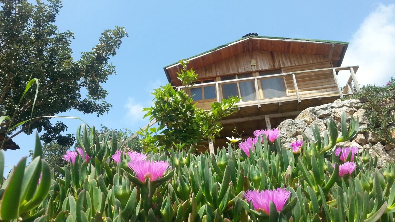 Photo of Outdoor in Uzunyurt