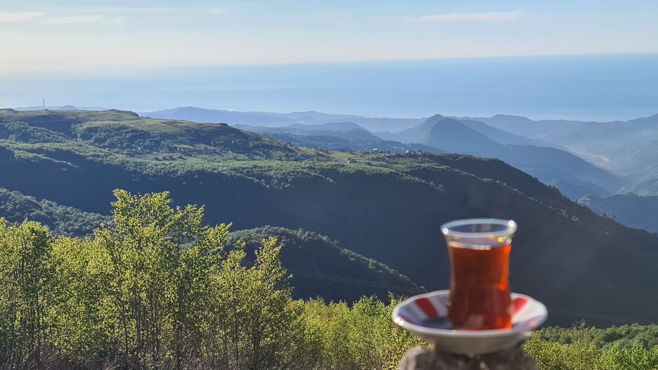 Photo of Outdoor in Guneysu