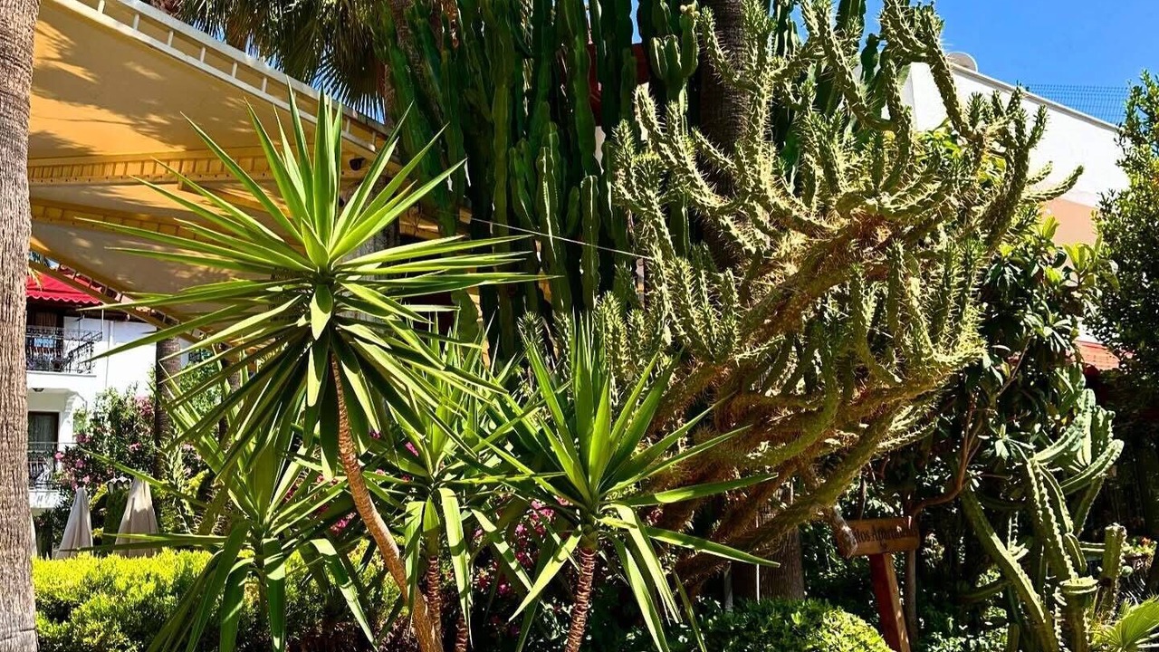 Photo of Outdoor in Icmeler City Center