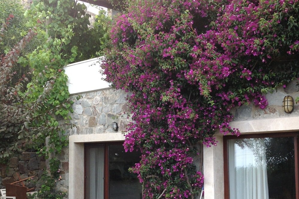 Photo of Outdoor in Dagbelen