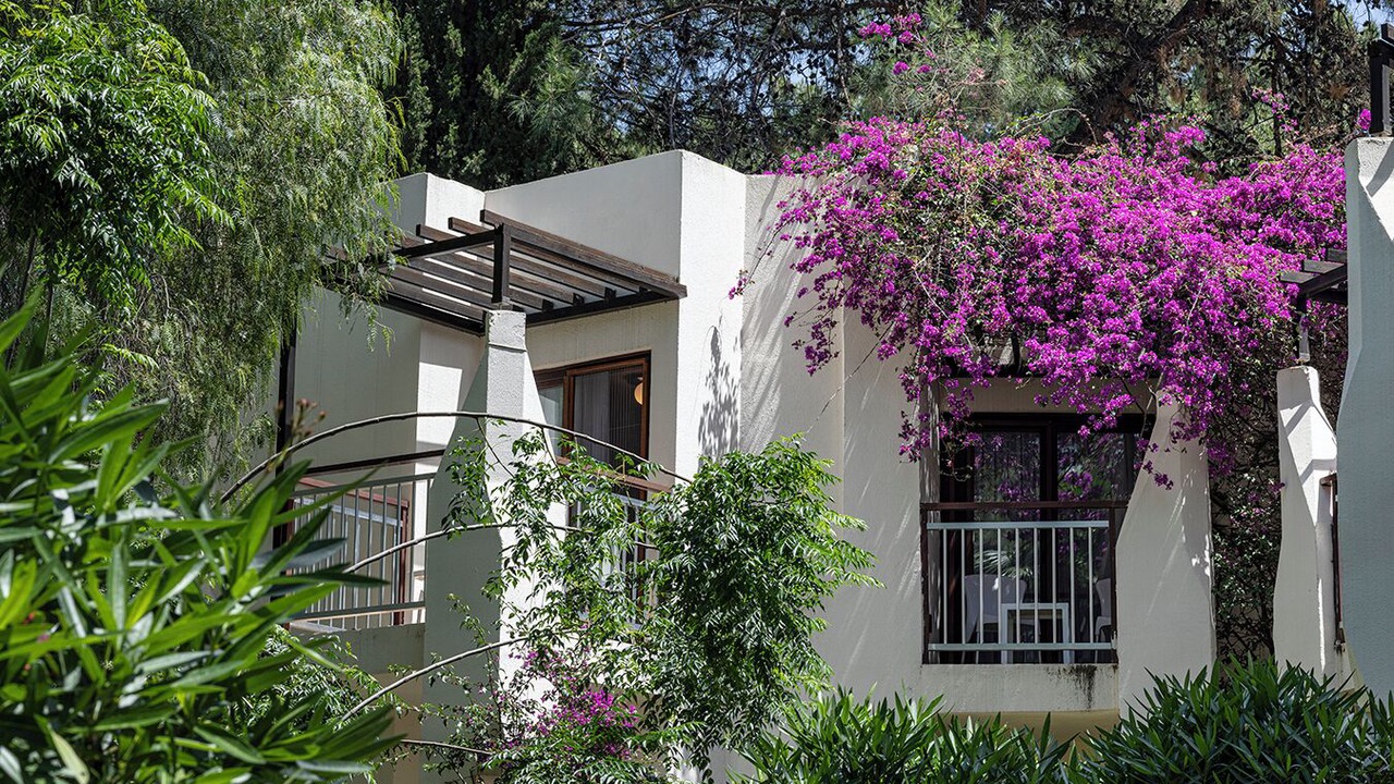Photo of Outdoor in Torba