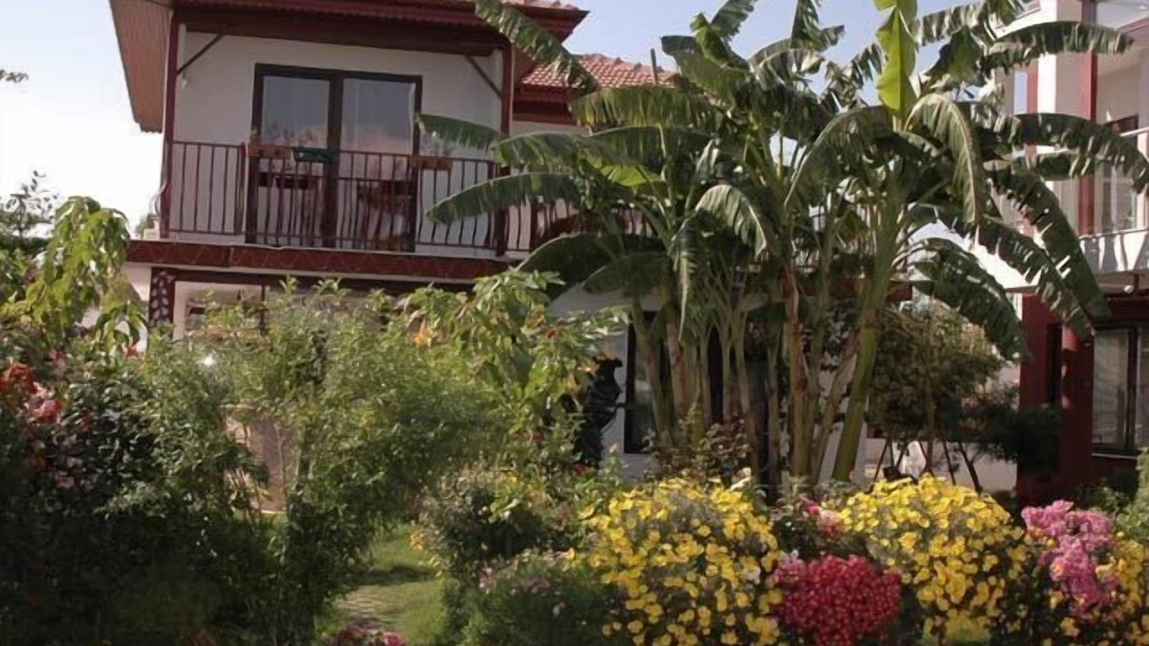 Photo of Outdoor in Side