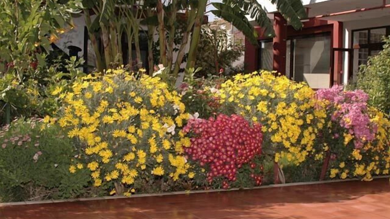 Photo of Outdoor in Side