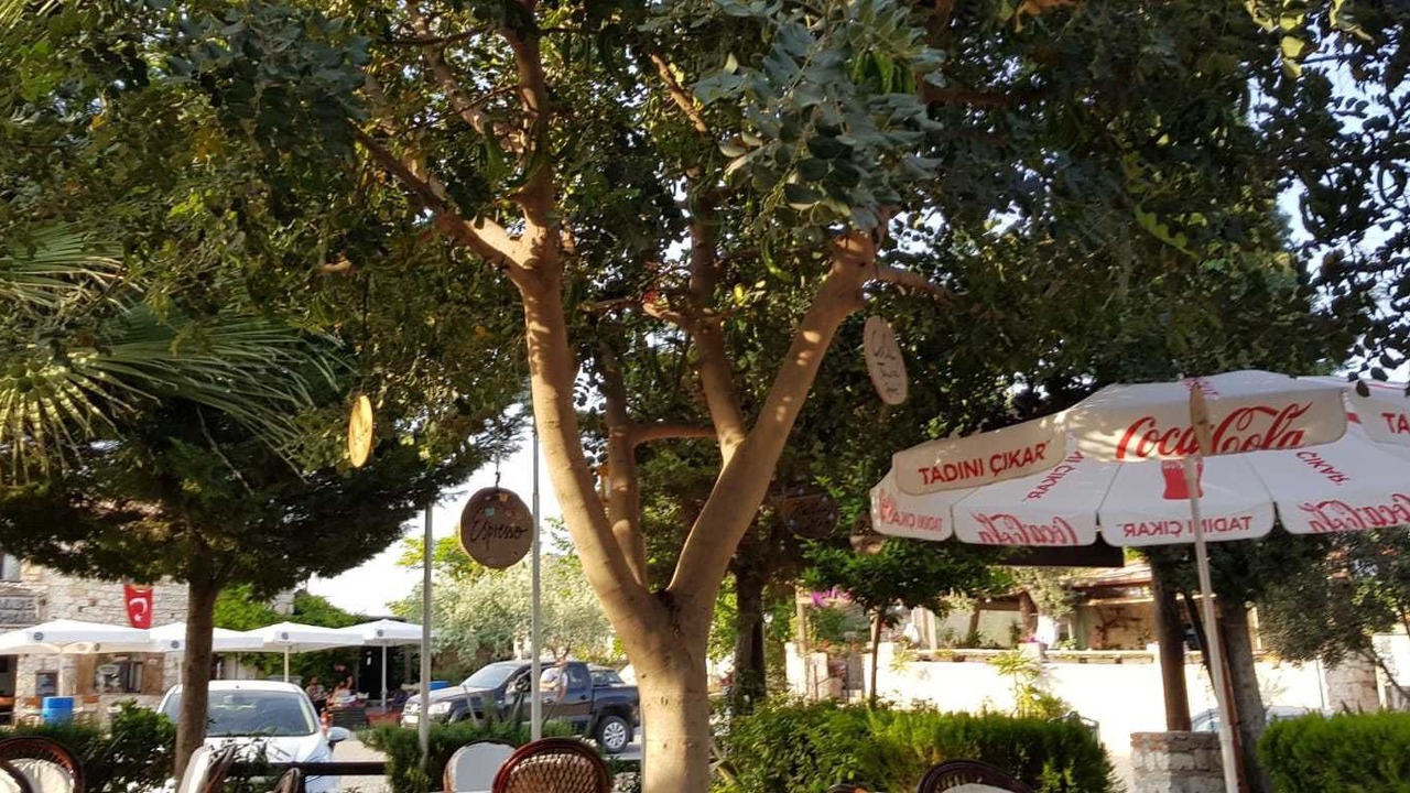 Photo of Others in Didim