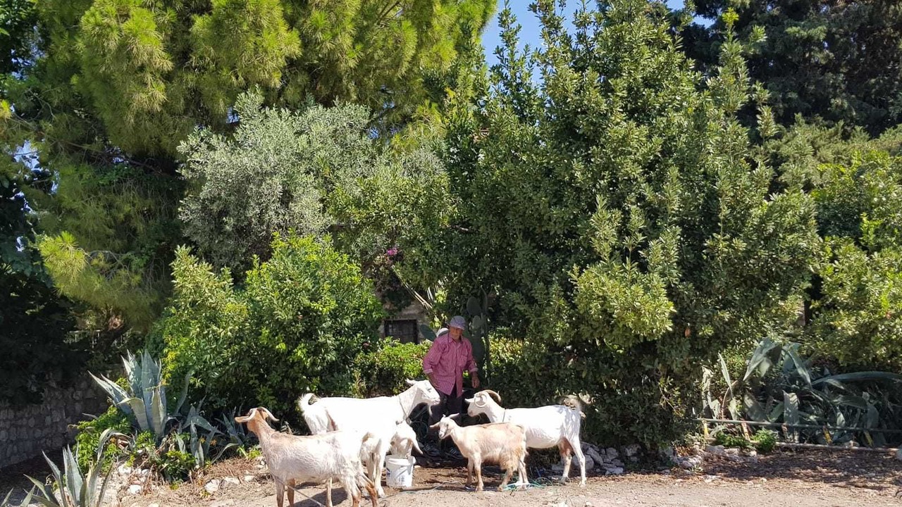 Photo of Outdoor in Didim