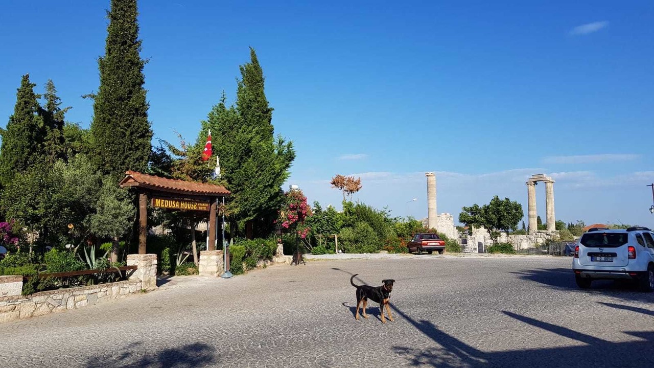 Photo of Outdoor in Didim