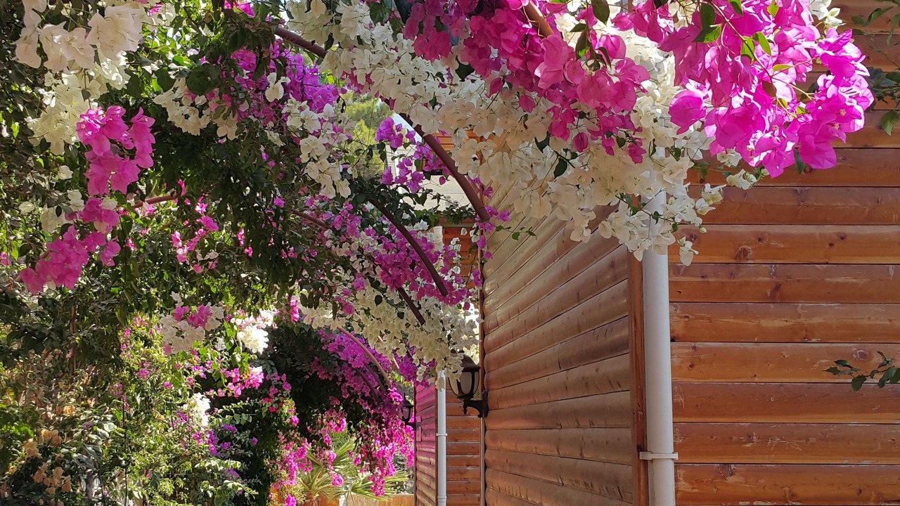Photo of Outdoor in Faralya