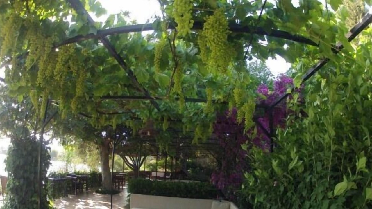 Photo of Outdoor in Dalyan City Center
