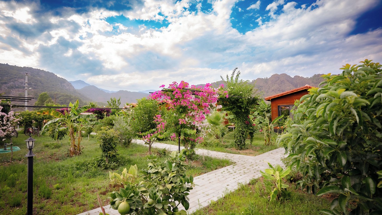 Photo of Outdoor in Cirali