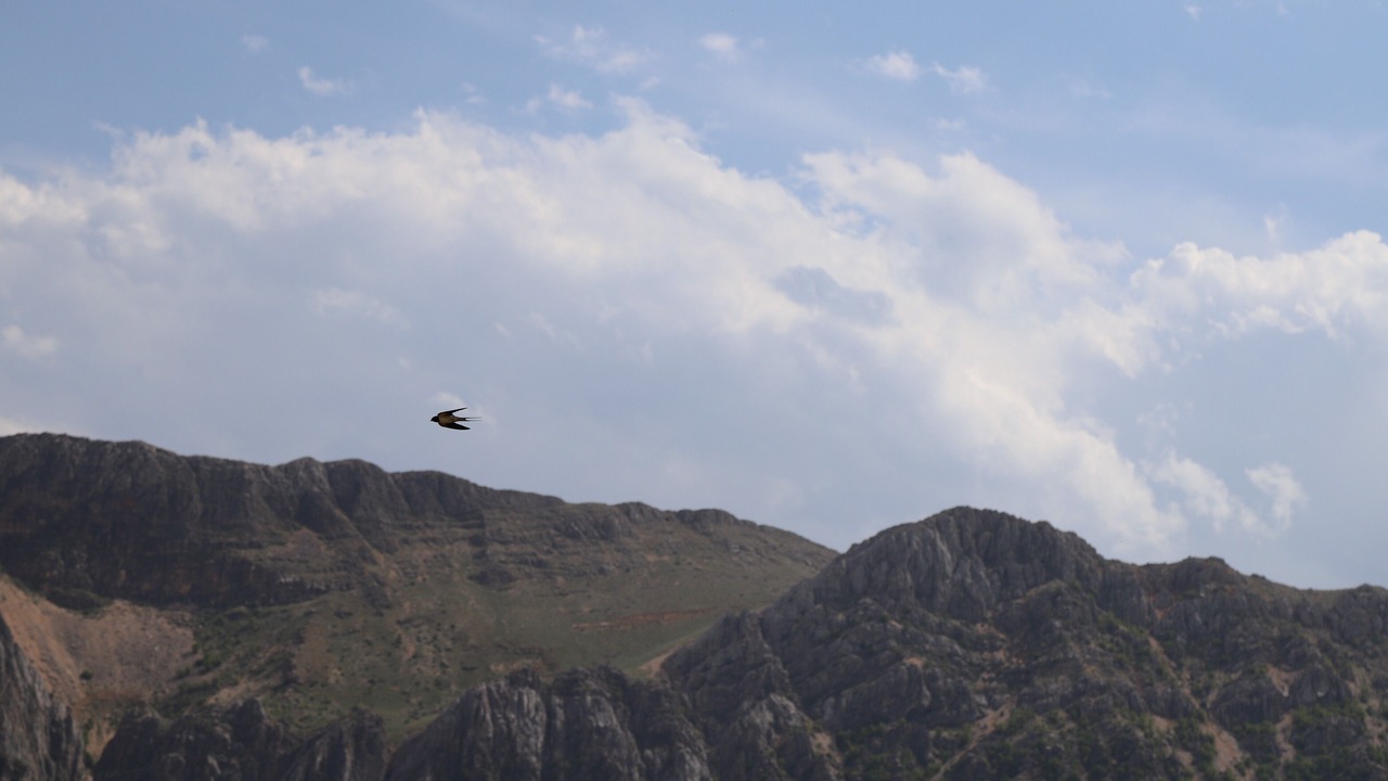 Photo of Outdoor in Kahta
