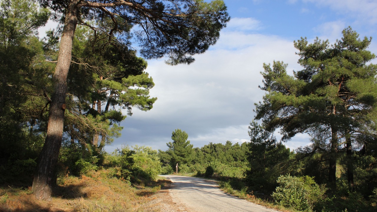 Photo of Outdoor in Ayvacik