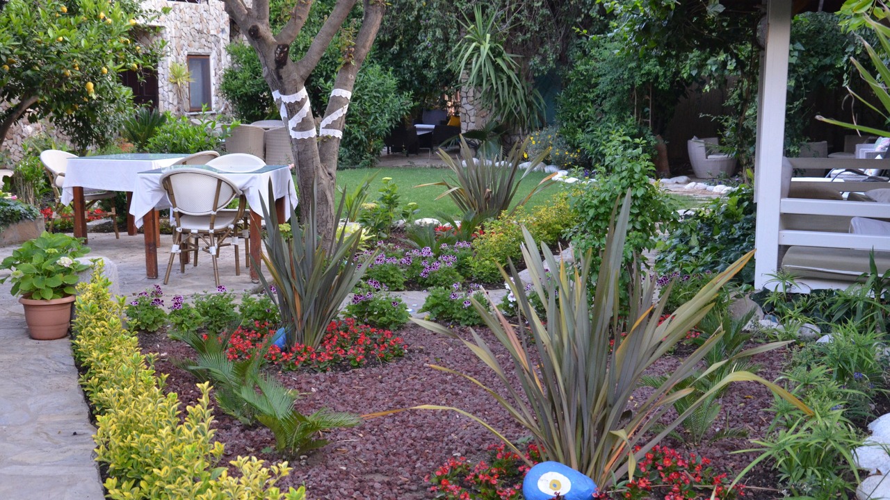 Photo of Outdoor in Cirali