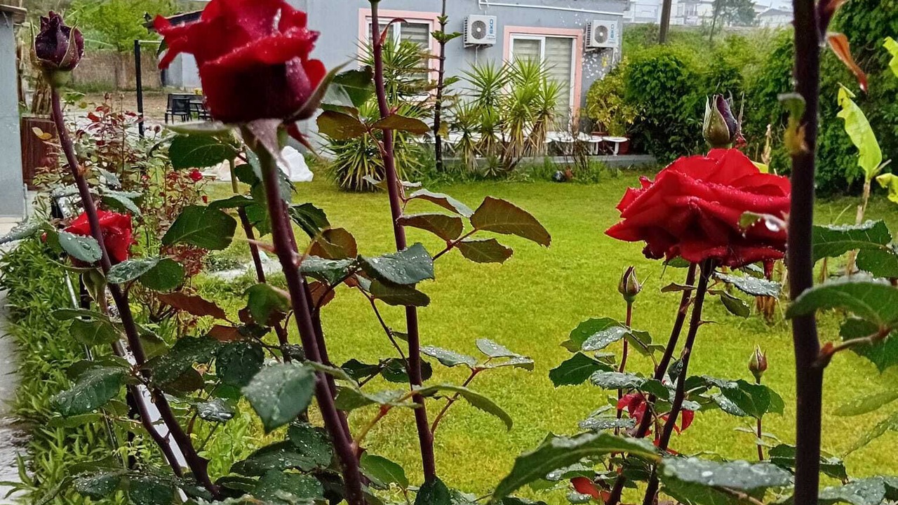 Photo of Outdoor in Kizilot