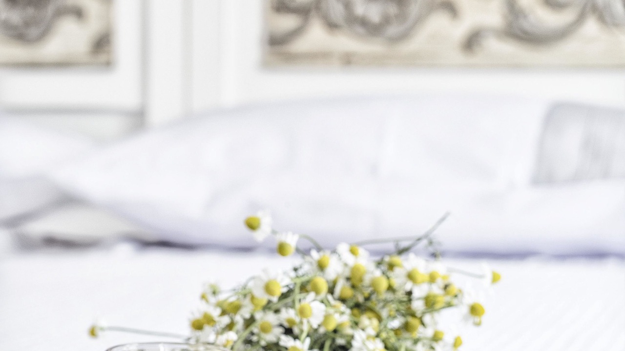 Photo of Bedroom in Bozcaada
