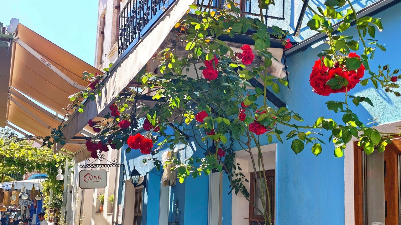 Photo of Outdoor in Bozcaada