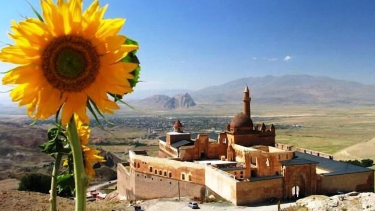Photo of Others in DogubeyazIt