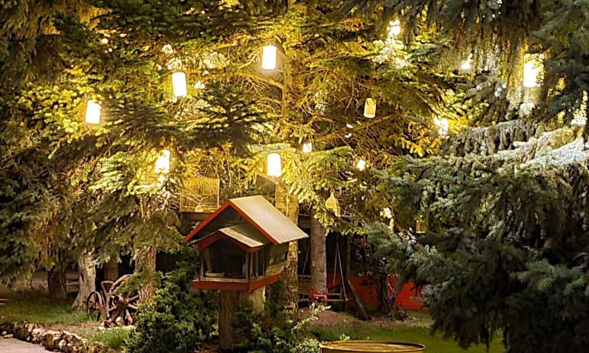 Photo of Outdoor in Saraycık