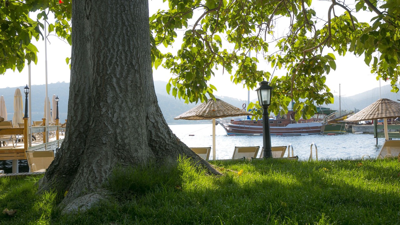 Photo of Outdoor in Golturkbuku
