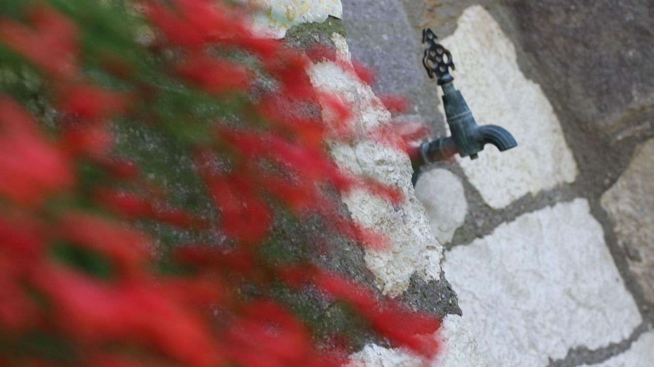 Photo of Outdoor in Cesme